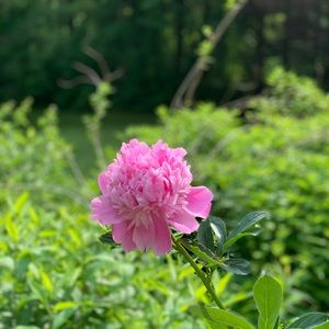 Meet your Posher, Ava